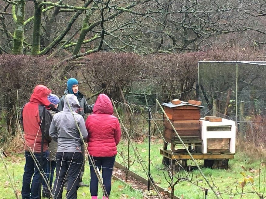 James Ellson's smallholding tour - 1