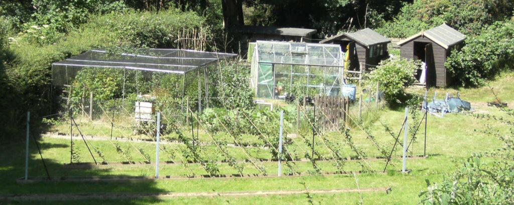 James Ellson vegetable garden